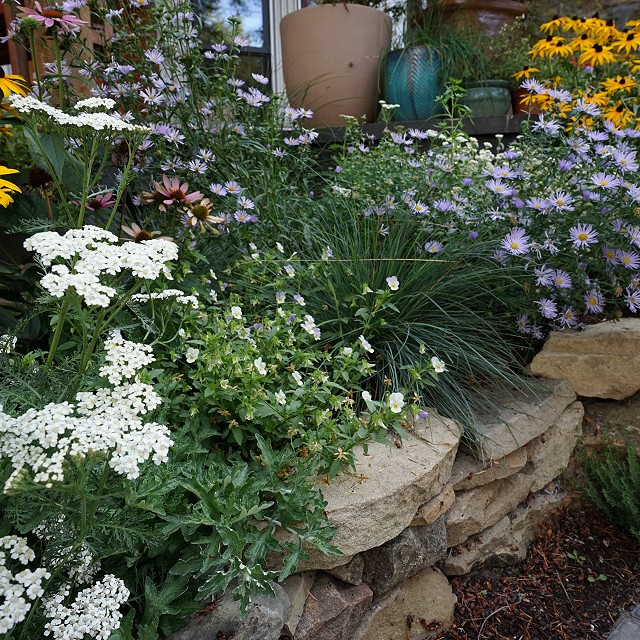 bulter-blvd-landscaper-nanaimo-13