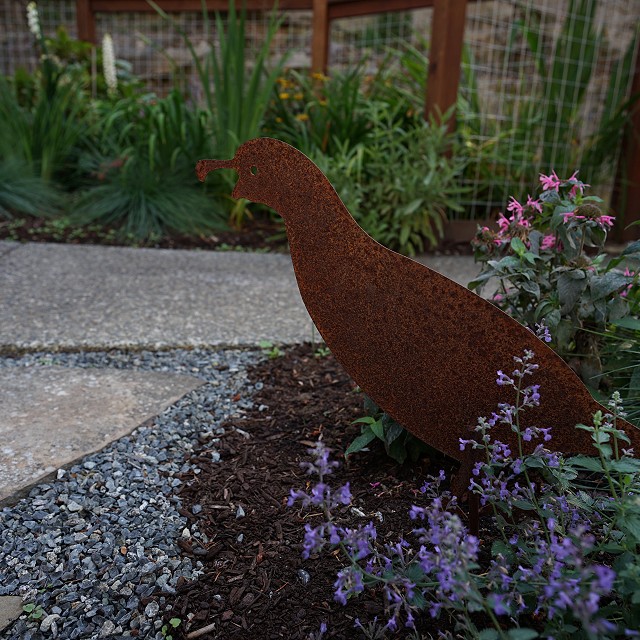bulter-blvd-landscaper-nanaimo-21