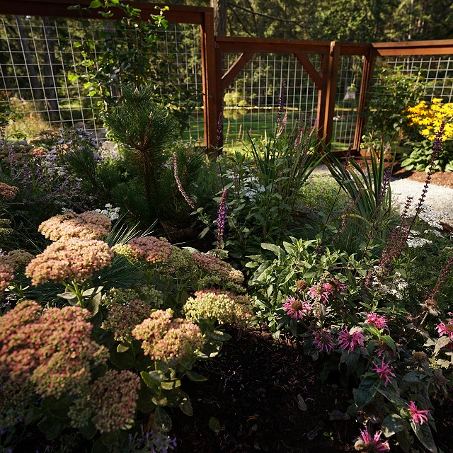 bulter-blvd-landscaper-nanaimo-22