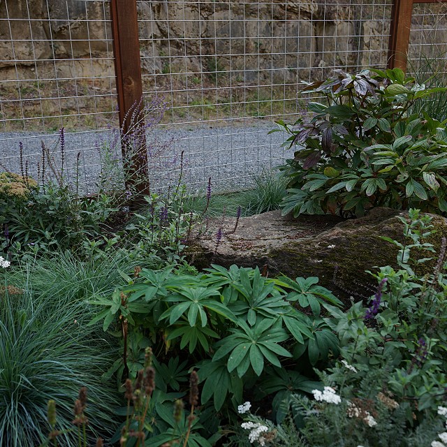 bulter-blvd-landscaper-nanaimo-24