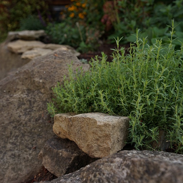bulter-blvd-landscaper-nanaimo-25
