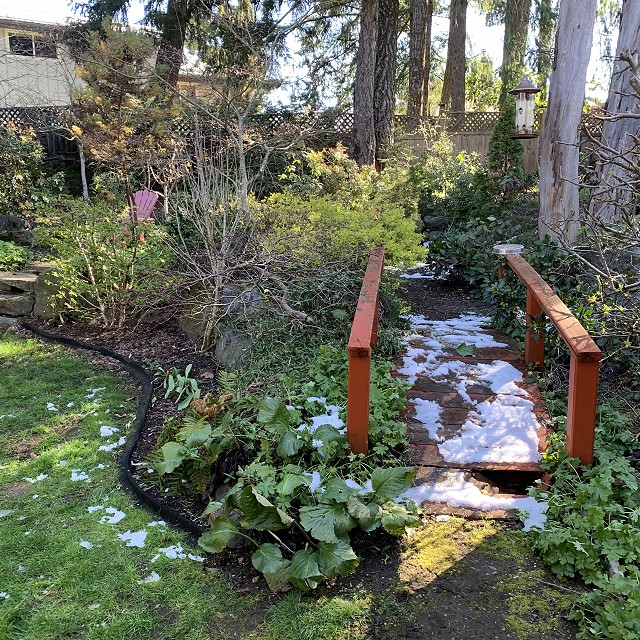 camosun-natural-landscape-nanaimo-02