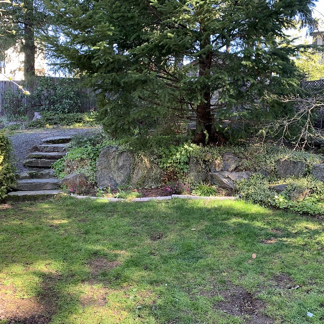 camosun-natural-landscape-nanaimo-03