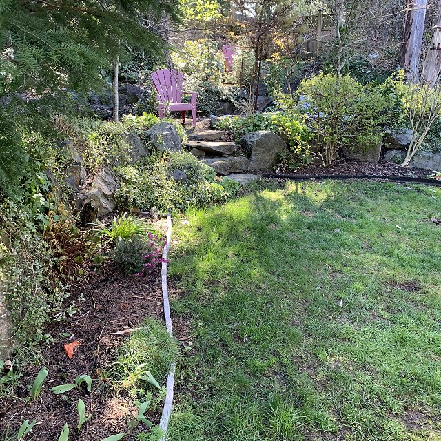 camosun-natural-landscape-nanaimo-07