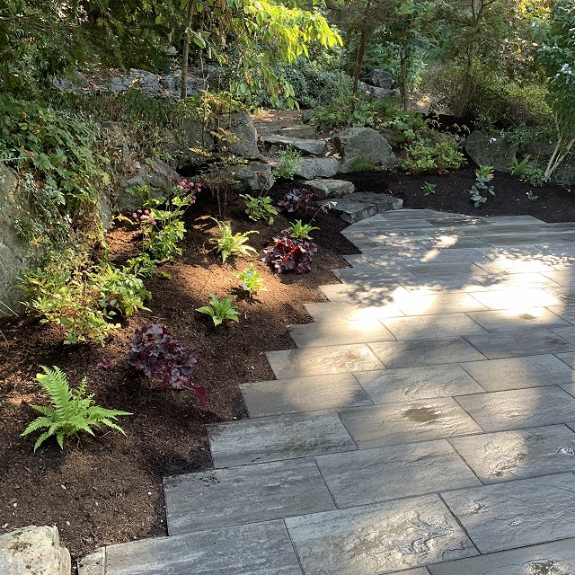 camosun-natural-landscape-nanaimo-41