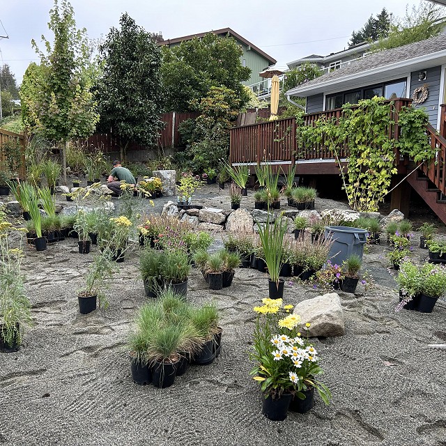 departure-bay-landscaper-06