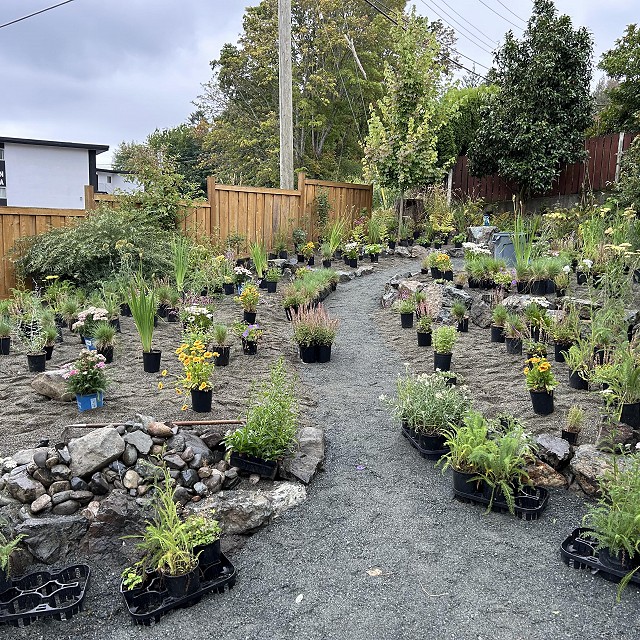 departure-bay-landscaper-07