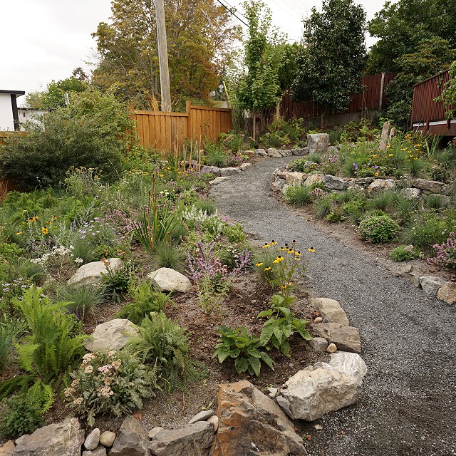 departure-bay-landscaper-14