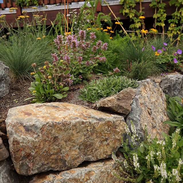 departure-bay-landscaper-15