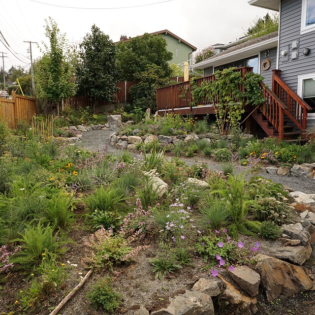 departure-bay-landscaper-17