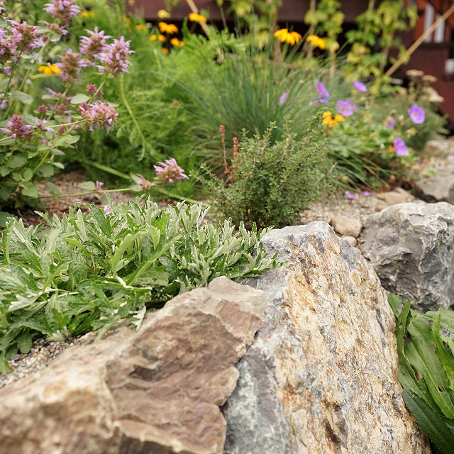 departure-bay-landscaper-19