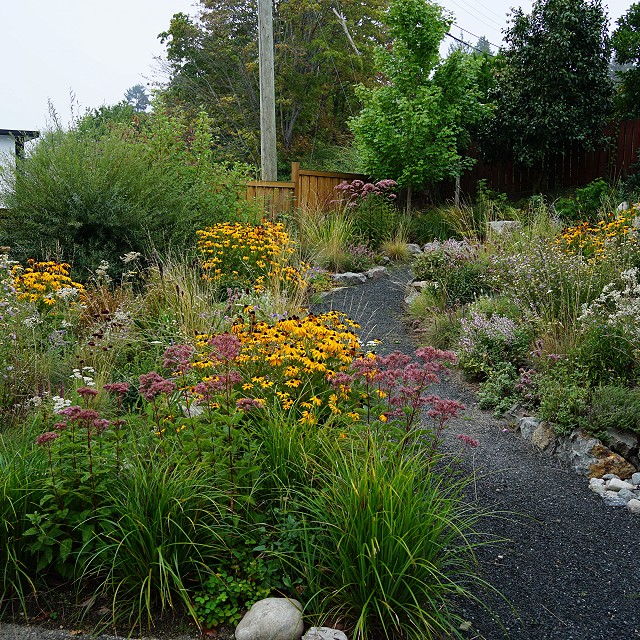 departure-bay-landscaper-20