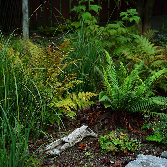 departure-bay-landscaper-21