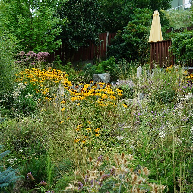 departure-bay-landscaper-25