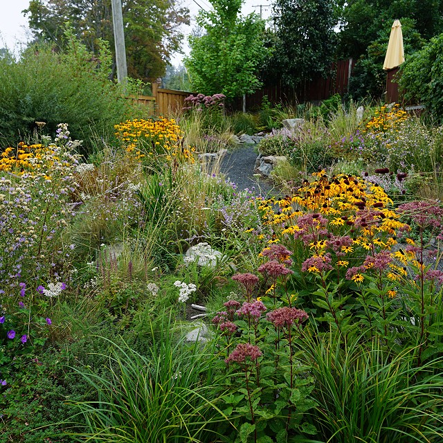 departure-bay-landscaper-26