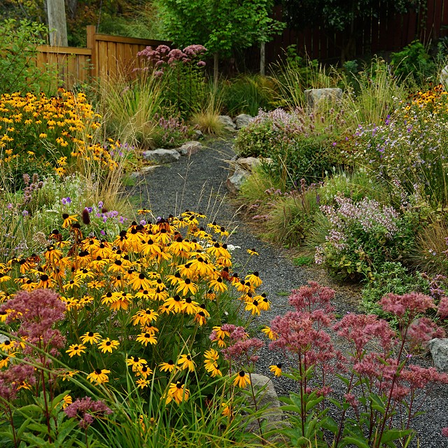 departure-bay-landscaper-32