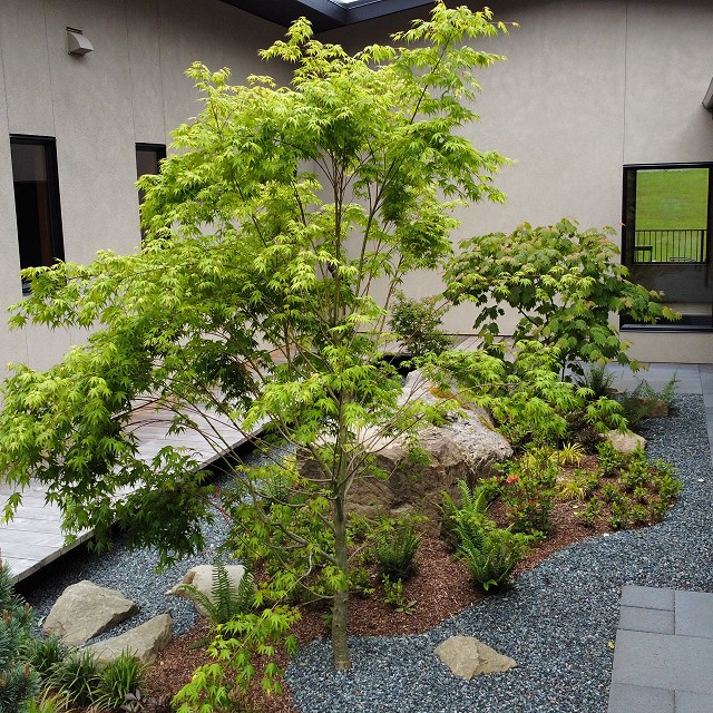 filipana-japanese-garden-03