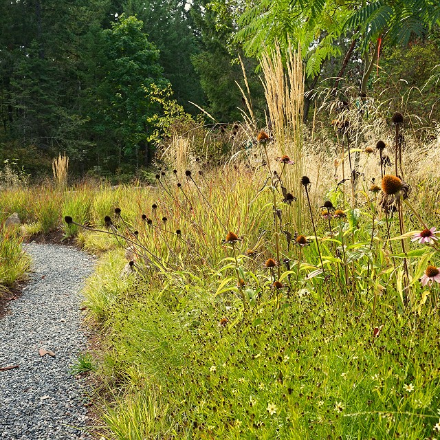 filipana-meadow-2023-01