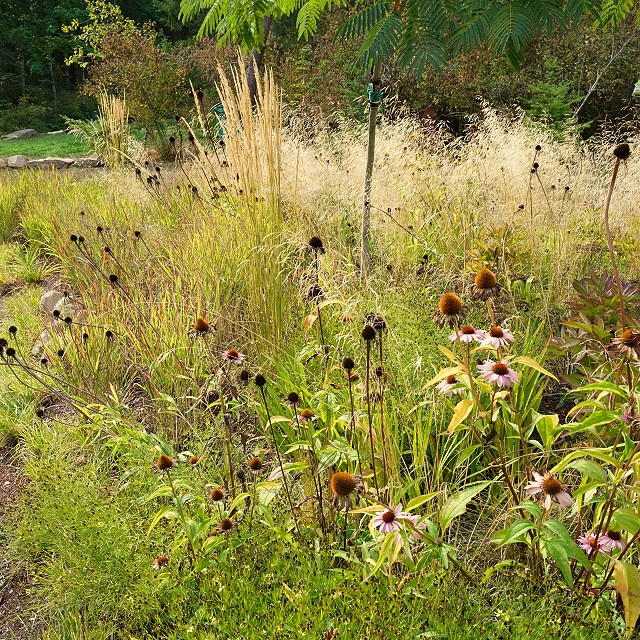 filipana-meadow-2023-02