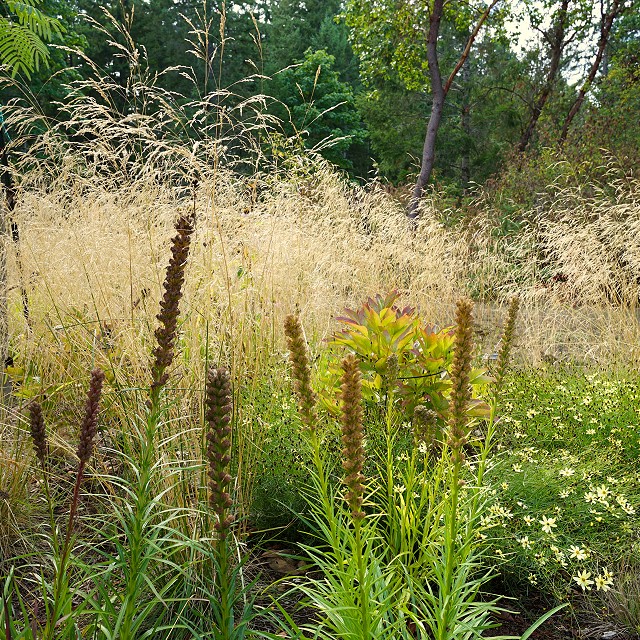 filipana-meadow-2023-03