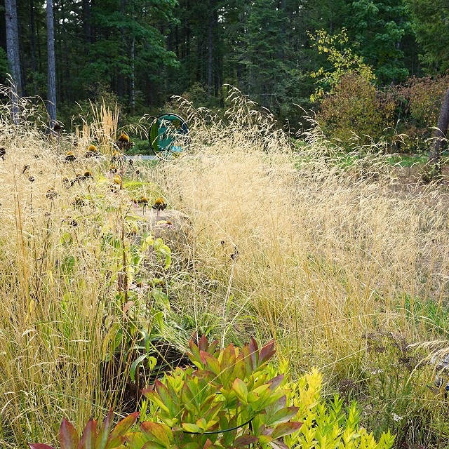 filipana-meadow-2023-04