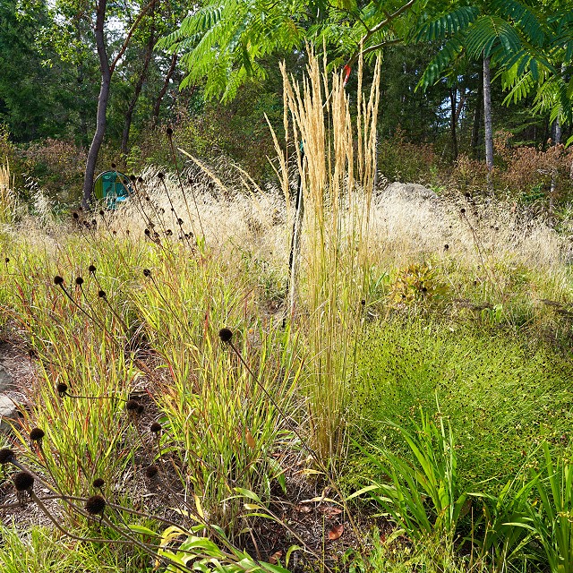 filipana-meadow-2023-05