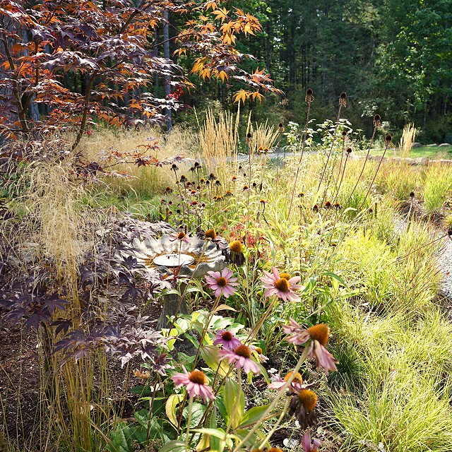 filipana-meadow-2023-07