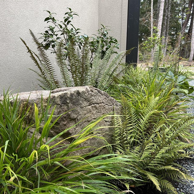 filipana-nanaimo-gardener-15
