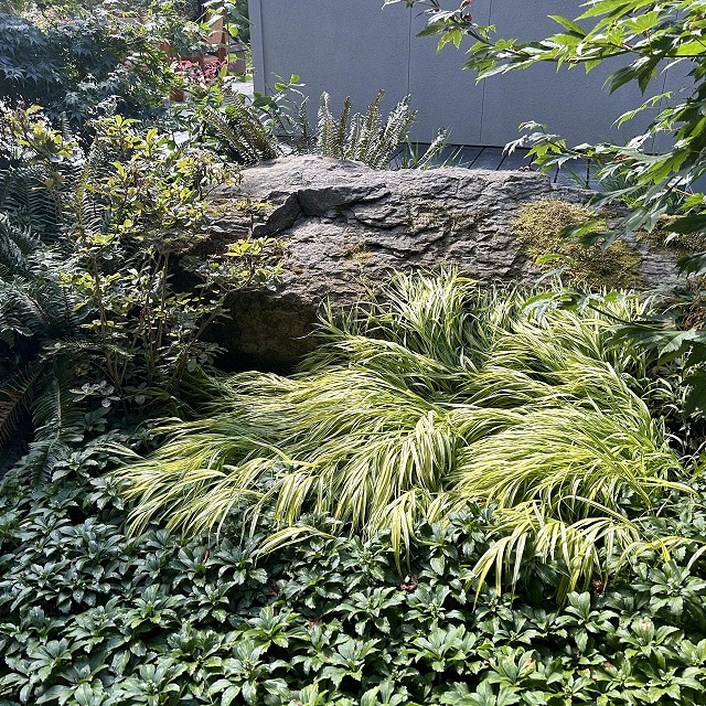 filipana-nanaimo-gardener-18
