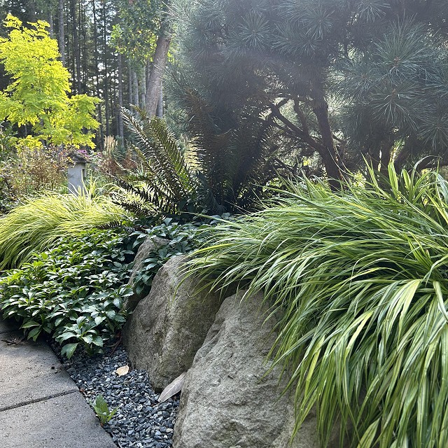 filipana-nanaimo-gardener-19-1