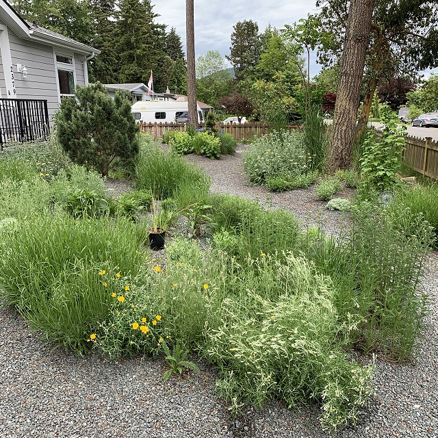 gravel-garden-2022-01