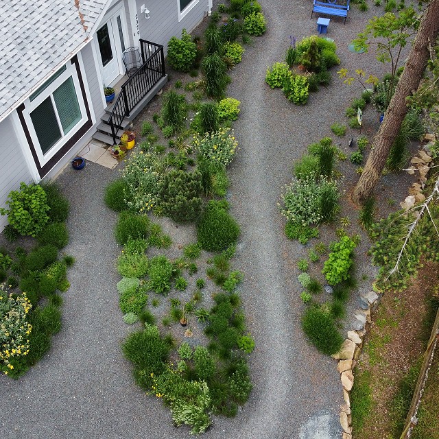 gravel-garden-2022-02