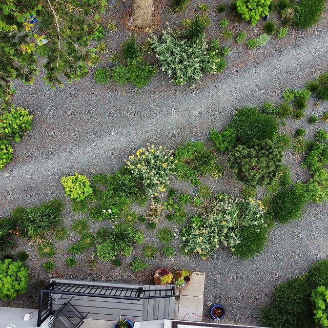 gravel-garden-2022-03