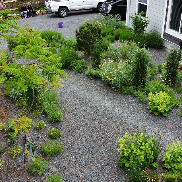 gravel-garden-2022-05