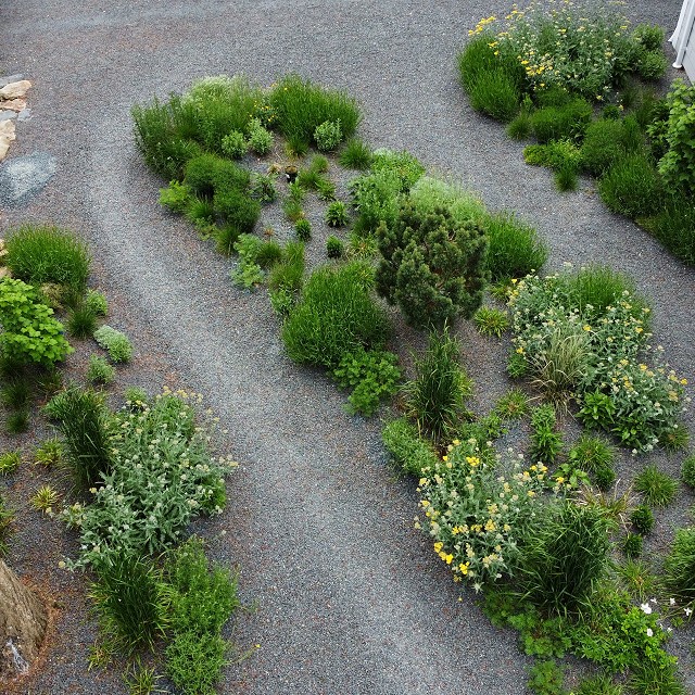 gravel-garden-2022-09