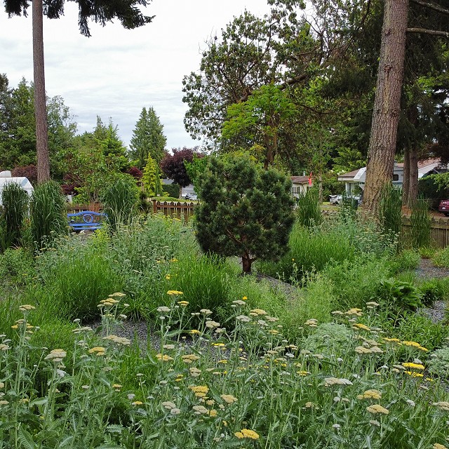 gravel-garden-2022-10