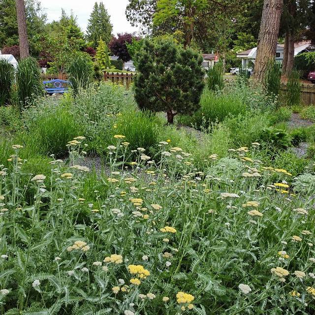 gravel-garden-2022-12