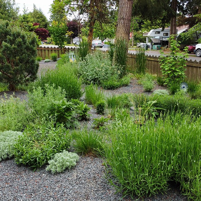 gravel-garden-2022-13