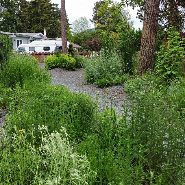 gravel-garden-2022-14