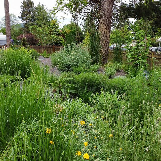gravel-garden-2022-15