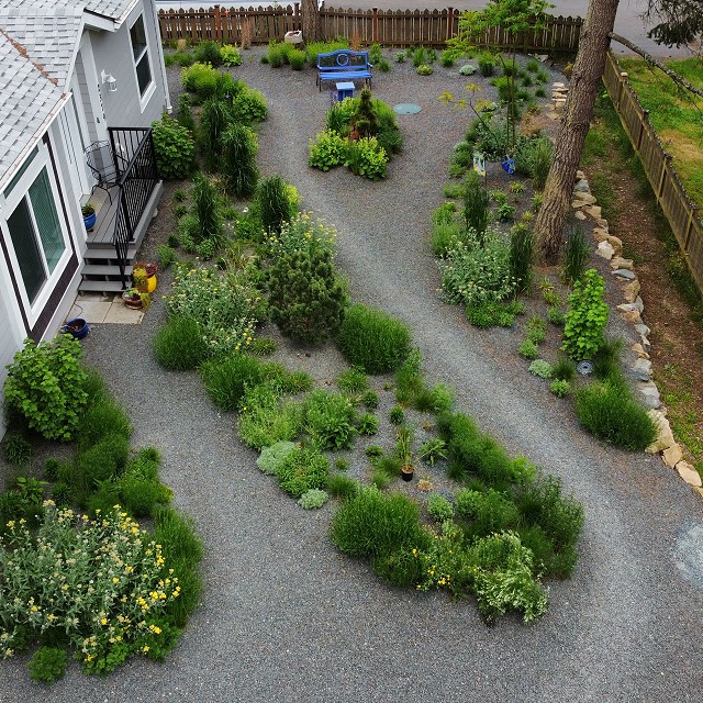 gravel-garden-2022-17