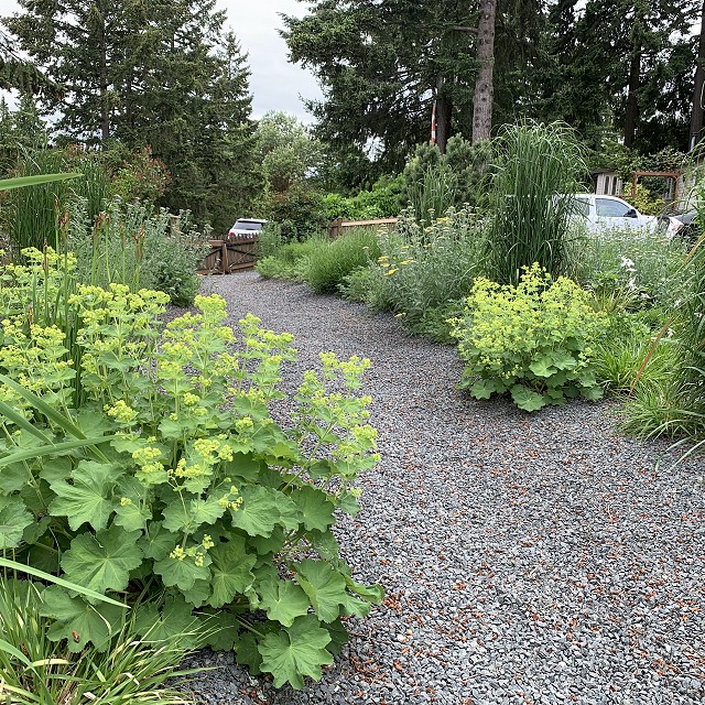 gravel-garden-2022-28