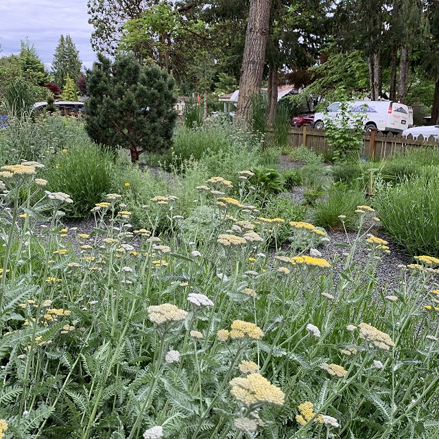 gravel-garden-2022-33