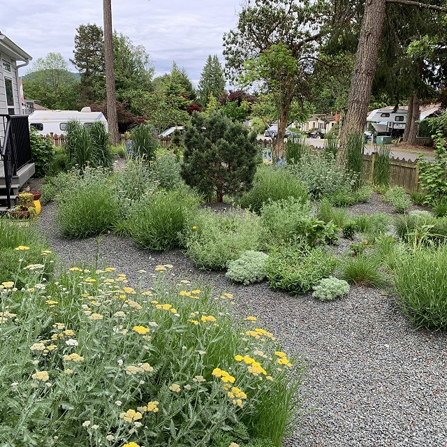 gravel-garden-2022-34