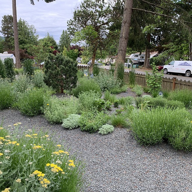 gravel-garden-2022-35