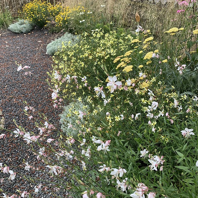 gravel-garden-2022-37