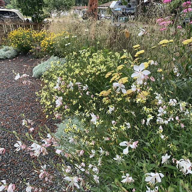 gravel-garden-2022-38
