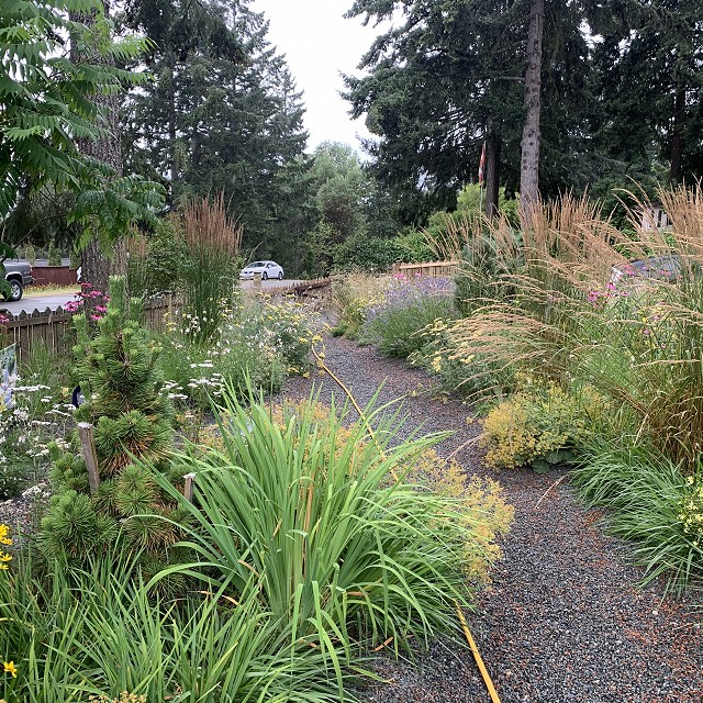 gravel-garden-2022-39