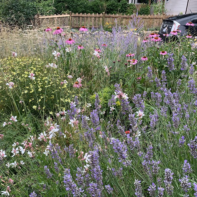 gravel-garden-2022-40
