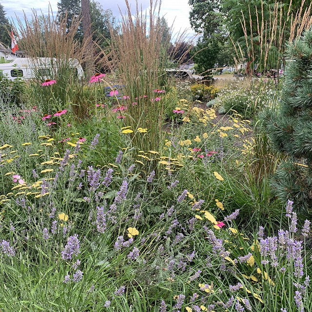 gravel-garden-2022-41